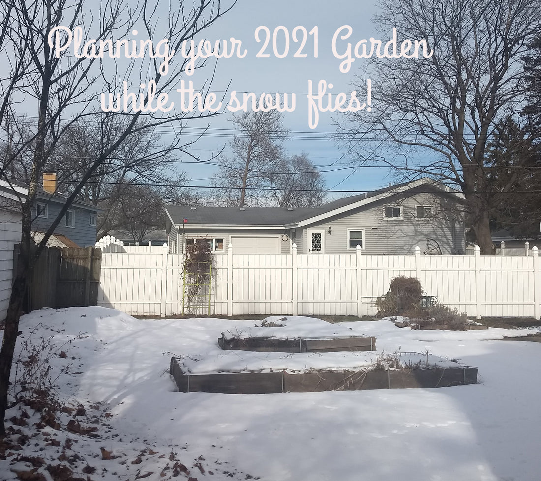 Garden Planning - Winter Activities - part 1