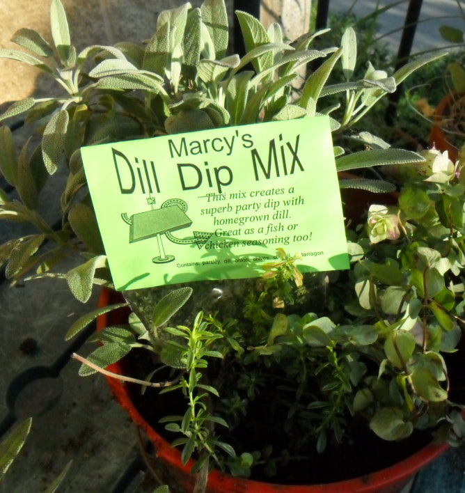 Dill Dip Mix Herb Blend for Cooking, Hand-blended salt-free dry HERB MIX