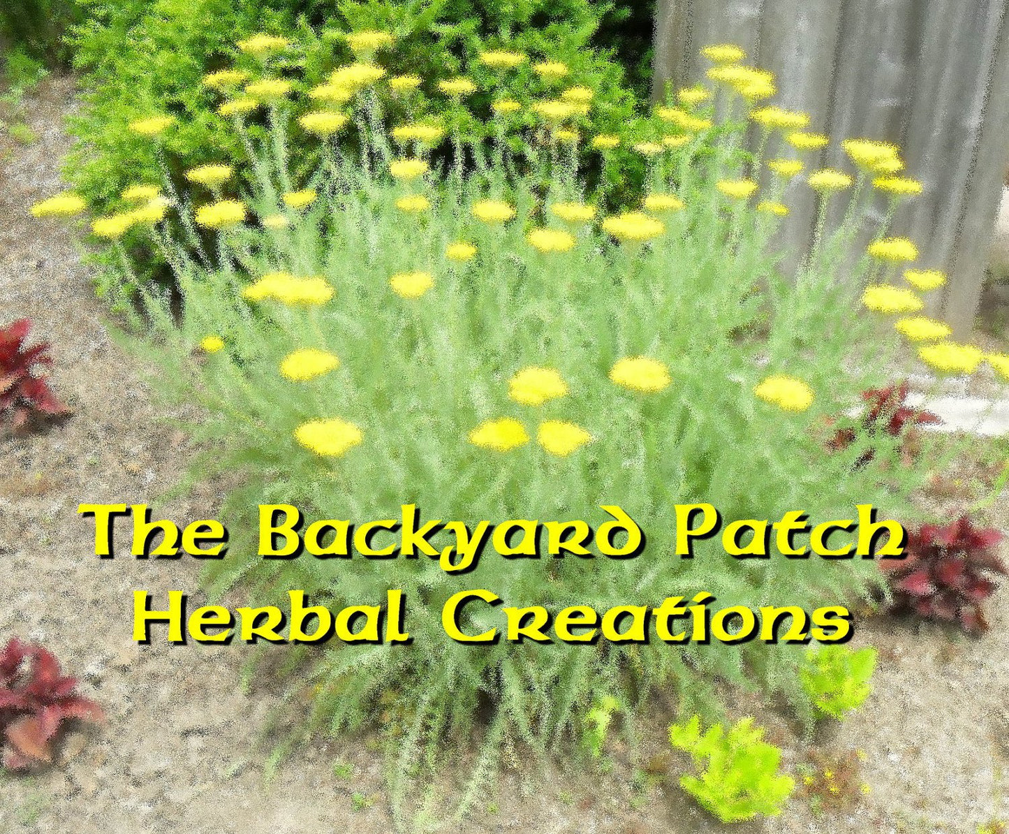 Poppy Seed Salad Dressing Herb Mix | Backyard Patch Seasoning Blend