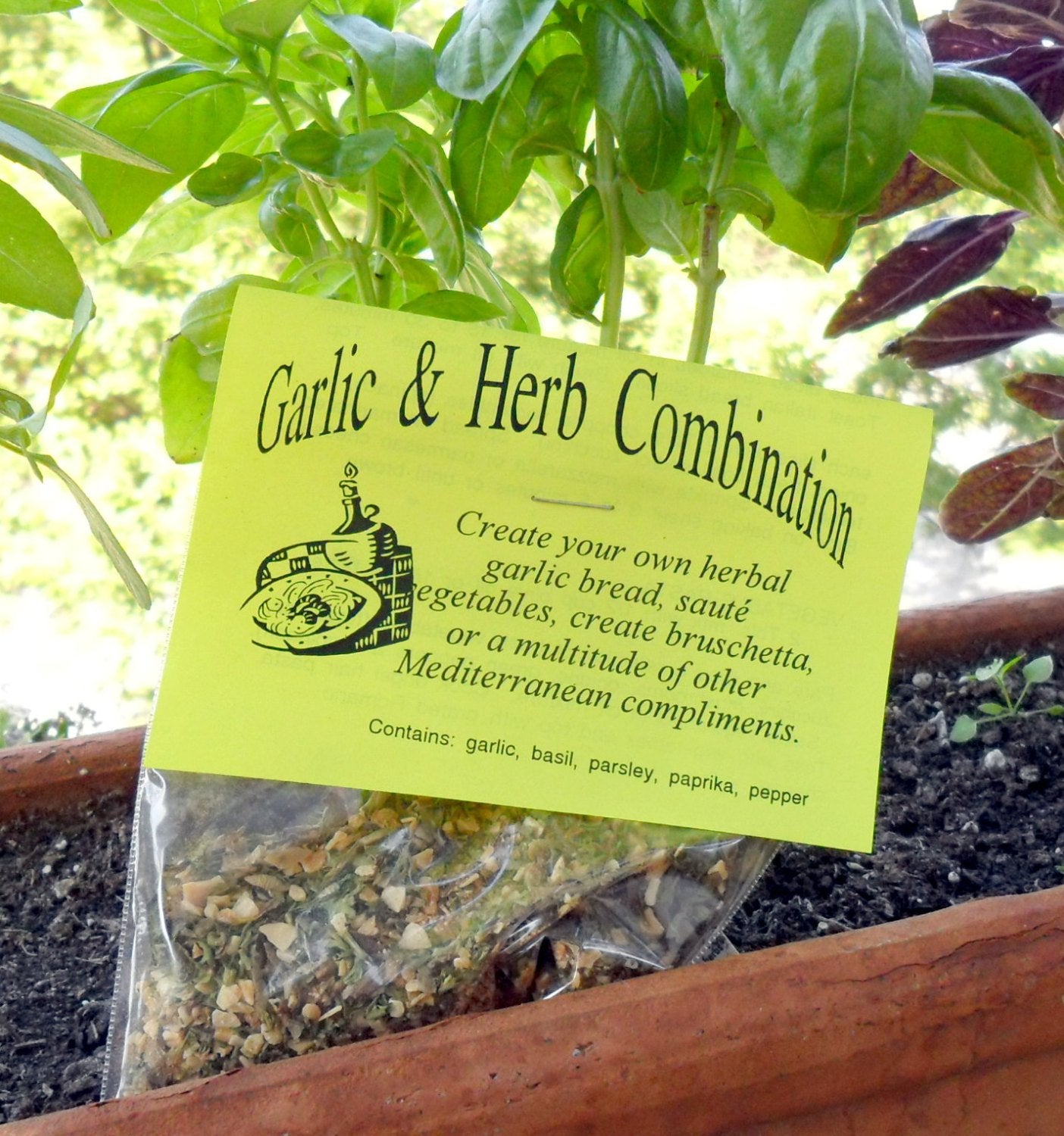 Zodiac Herb Box Gift Set | For Scorpio (Oct 23 to Nov 21) | Backyard Patch Herb Blends | with Garlic, Chamomile, Horseradish